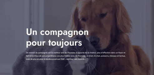 https://www.question-animaux.com